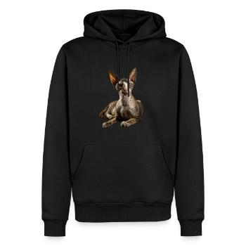 Cornish Rex - Männer Premium Bio Hoodie - Schwarz - Vorne - Nico (187cm)