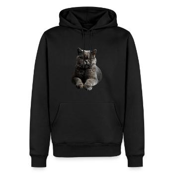 British Shorthair - Männer Premium Bio Hoodie - Schwarz - Vorne - Nico (187cm)