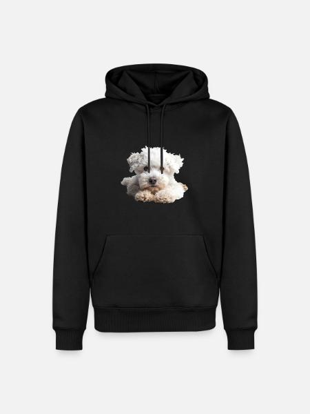 Bolognes - Sweat à capuche Premium bio Homme - noir