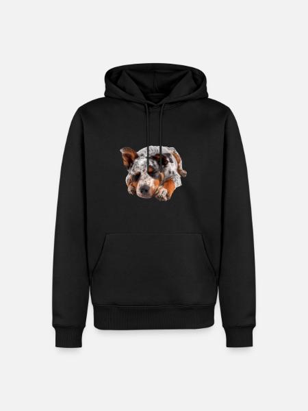 Australian Cattle Dog - Men’s Premium Organic Hoodie - black