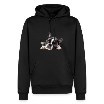 Boston Terrier - Men’s Premium Organic Hoodie - black - Front - Nico (187cm)