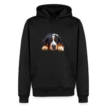 Bernese Mountain Dog - Männer Premium Bio Hoodie - Schwarz - Vorne - Nico (187cm)