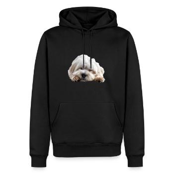 Coton de tuléar - Sweat à capuche Premium bio Homme - noir - Devant - Nico (187cm)