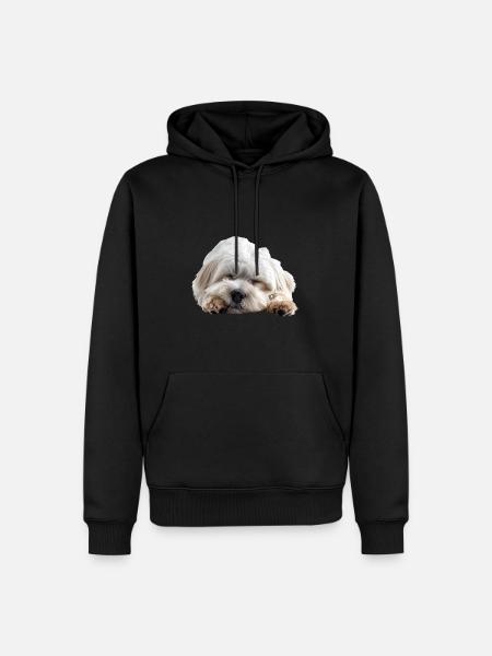Coton de tulear - Men’s Premium Organic Hoodie - black