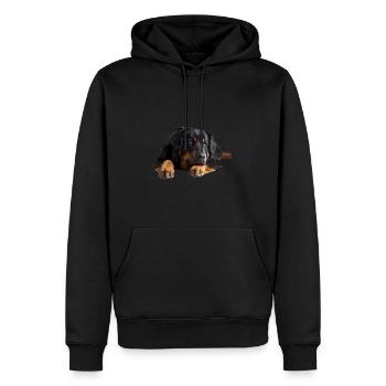Hovawart - Männer Premium Bio Hoodie - Schwarz - Vorne - Nico (187cm)
