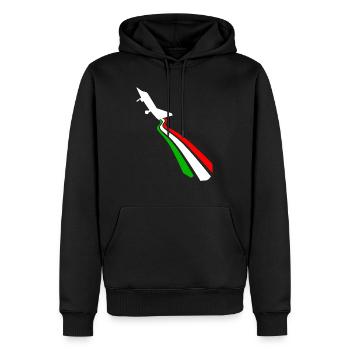 Flagge Italiens - Männer Premium Bio Hoodie - Schwarz - Vorne - Nico (187cm)