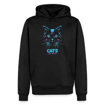 les chats sont méchants - Sweat à capuche Premium bio Homme - noir - Devant - Nico (187cm)