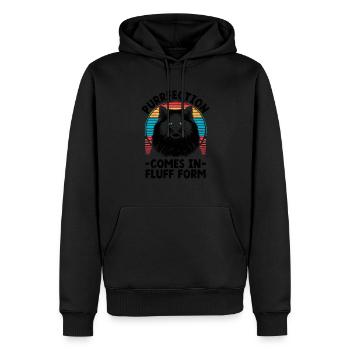 Purrfection Kommt In Pluff Form Ragdoll Ragdolls C - Männer Premium Bio Hoodie - Schwarz - Vorne - Nico (187cm)
