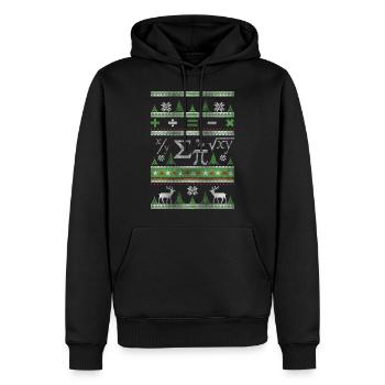Mathematiker Ugly Christmas - Männer Premium Bio Hoodie - Schwarz - Vorne - Nico (187cm)