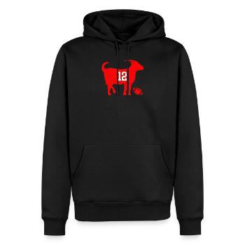 GOAT 12 Tampa Bay Football - Men’s Premium Organic Hoodie - black - Front - Nico (187cm)