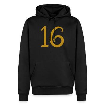 16 - Sweat à capuche Premium bio Homme - noir - Devant - Nico (187cm)