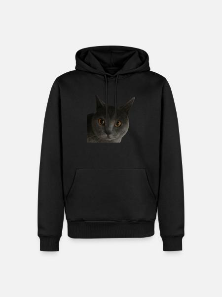 cat close up - Men’s Premium Organic Hoodie - black