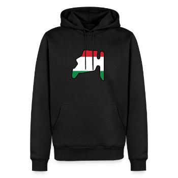 Piste de course de Hongrie avec drapeau - Sweat à capuche Premium bio Homme - noir - Devant - Nico (187cm)