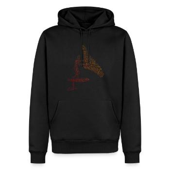 wingsurf foilwing wingfoil hydrofoil wingsurf - Sweat à capuche Premium bio Homme - noir - Devant - Nico (187cm)