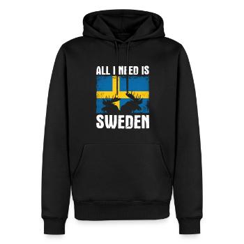 All i need is Sweden Scandinavia - Men’s Premium Organic Hoodie - black - Front - Nico (187cm)