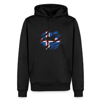 Isländer - Männer Premium Bio Hoodie - Schwarz - Vorne - Nico (187cm)