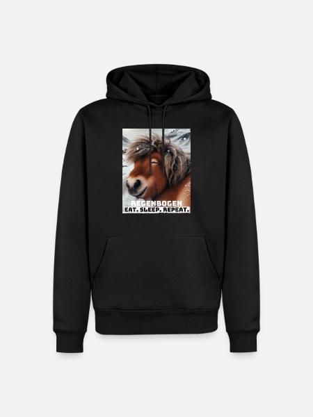 Regenbogen Mottoshirt - Männer Premium Bio Hoodie - Schwarz