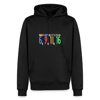 wichtige Levels: 6, 9, 11, 16 - Männer Premium Bio Hoodie - Schwarz - Vorne - Nico (187cm)