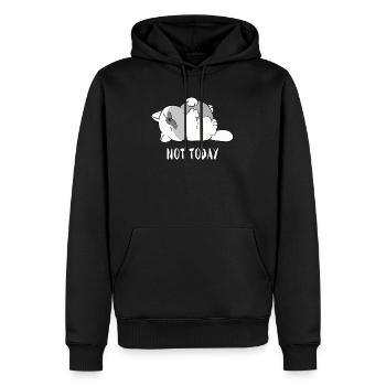 Chat aujourd'hui pas paresseux chats cadeau paresseux - Sweat à capuche Premium bio Homme - noir - Devant - Nico (187cm)