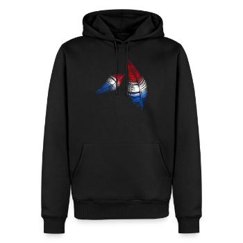 feathers red white blue - Men’s Premium Organic Hoodie - black - Front - Nico (187cm)
