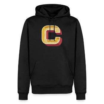 C - Men’s Premium Organic Hoodie - black - Front - Nico (187cm)