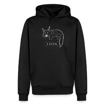 Maine Coon – I Fits - Men’s Premium Organic Hoodie - black - Front - Nico (187cm)