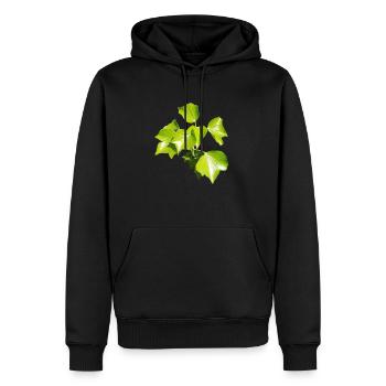 Lierre – Connexion à feuilles persistantes - Sweat à capuche Premium bio Homme - noir - Devant - Nico (187cm)