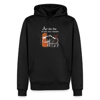 Ardeche chauvet 1 - Sweat à capuche Premium bio Homme - noir - Devant - Nico (187cm)