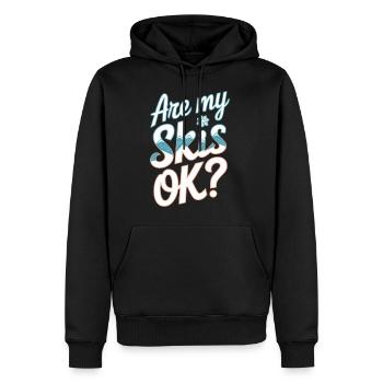 Are My Skis Ok 12 - Männer Premium Bio Hoodie - Schwarz - Vorne - Nico (187cm)