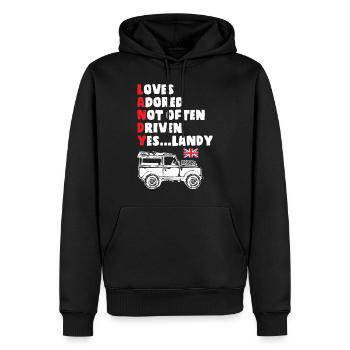 Son Landy - Sweat à capuche Premium bio Homme - noir - Devant - Nico (187cm)