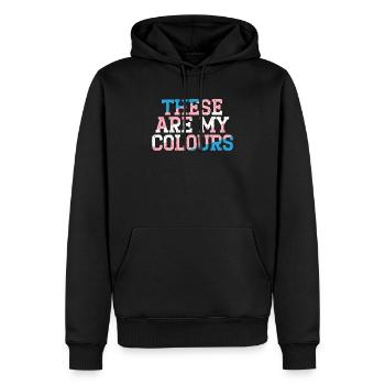 Das sind meine Farben LGBTQ Transgender Rechte - Männer Premium Bio Hoodie - Schwarz - Vorne - Nico (187cm)
