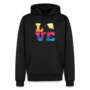 Love Kite Flying Lover Kite Whisperer Kite Maker - Sweat à capuche Premium bio Homme - noir - Devant - Nico (187cm)