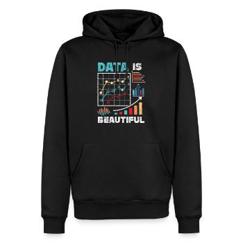 Data Is Beautiful Statistiques Emploi Statisticien - Sweat à capuche Premium bio Homme - noir - Devant - Nico (187cm)