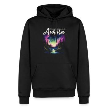 Aurore boréale ciel étoilé Nature lumière affichage - Sweat à capuche Premium bio Homme - noir - Devant - Nico (187cm)