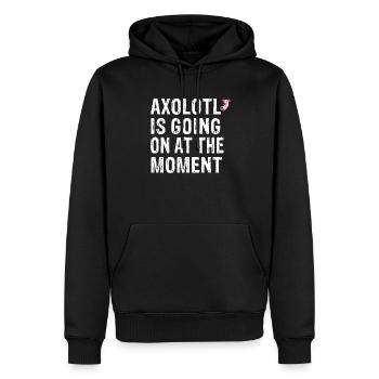 Axolotl is goin on at the moment - Men’s Premium Organic Hoodie - black - Front - Nico (187cm)