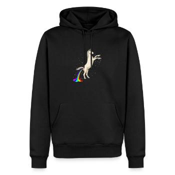 Science Behind Rainbows - Men’s Premium Organic Hoodie - black - Front - Nico (187cm)