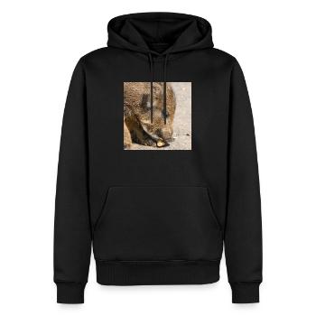 Frischling Wildschwein (Sus scrofa) im Wald - Männer Premium Bio Hoodie - Schwarz - Vorne - Nico (187cm)