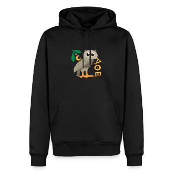 Griechische Mythologie Eule von Athena Geschenk - Männer Premium Bio Hoodie - Schwarz - Vorne - Nico (187cm)