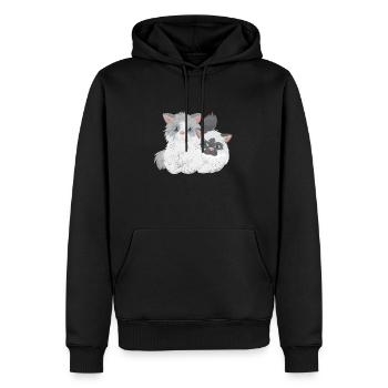 Ragdoll-Katzenpaar Katzenliebhaber Geschenkidee - Männer Premium Bio Hoodie - Schwarz - Vorne - Nico (187cm)