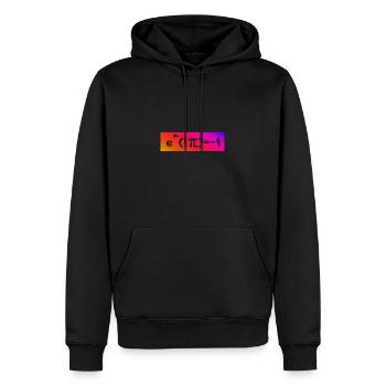Les symboles de maths Belles mathématiques Formule Eulersche - Sweat à capuche Premium bio Homme - noir - Devant - Nico (187cm)