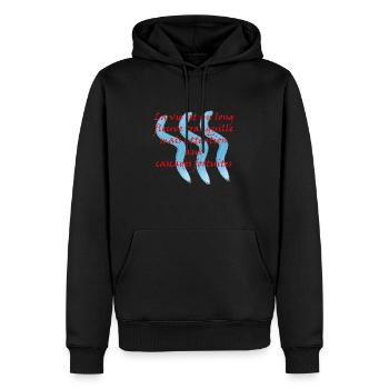 La vie est un long Fleuve tranquille - Sweat à capuche Premium bio Homme - noir - Devant - Nico (187cm)