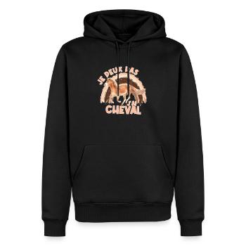 j'peux pas j'ai cheval style rainbow boho - Sweat à capuche Premium bio Homme - noir - Devant - Nico (187cm)