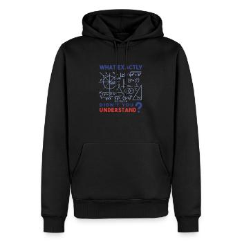 Qu’est-ce que vous ne comprenez pas exactement? Math freak. - Sweat à capuche Premium bio Homme - noir - Devant - Nico (187cm)