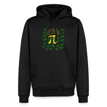 Pi éclairs verts et Jaunes Maths Ingénieur Science - Sweat à capuche Premium bio Homme - noir - Devant - Nico (187cm)