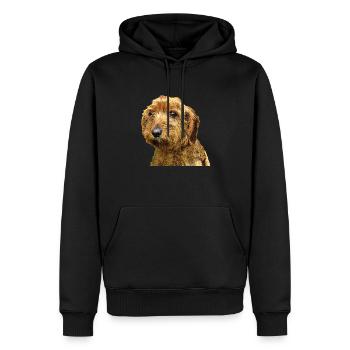 Basset fauve de Bretagne - Sweat à capuche Premium bio Homme - noir - Devant - Nico (187cm)