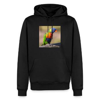 Loriquet arc-en-ciel (Allfarblori, Trichoglossus) - Sweat à capuche Premium bio Homme - noir - Devant - Nico (187cm)