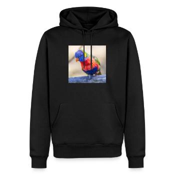 Loriquet arc-en-ciel (Allfarblori, Trichoglossus) - Sweat à capuche Premium bio Homme - noir - Devant - Nico (187cm)