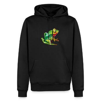 Origami Geometrie Frosch bunt modern arty - Männer Premium Bio Hoodie - Schwarz - Vorne - Nico (187cm)