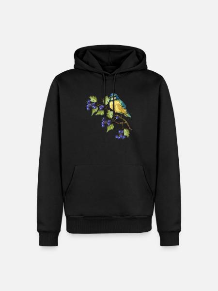 Oiseau coloré - Sweat à capuche Premium bio Homme - noir