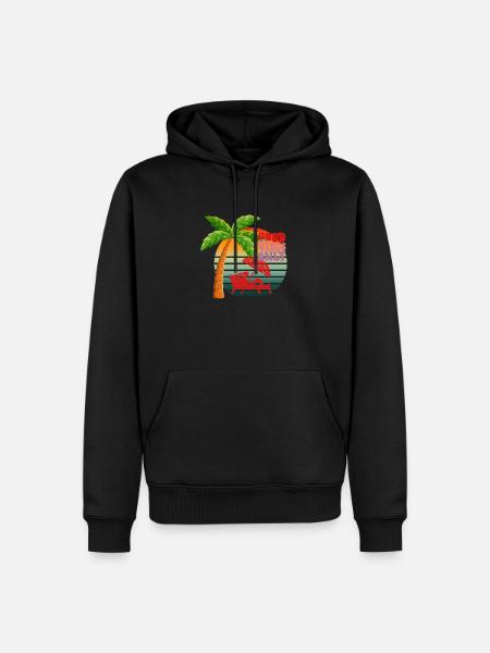Only good vibes - Men’s Premium Organic Hoodie - black